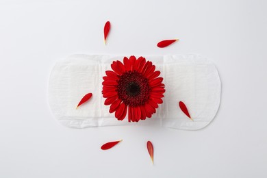 Photo of Menstrual pad with red flower on white background, top view