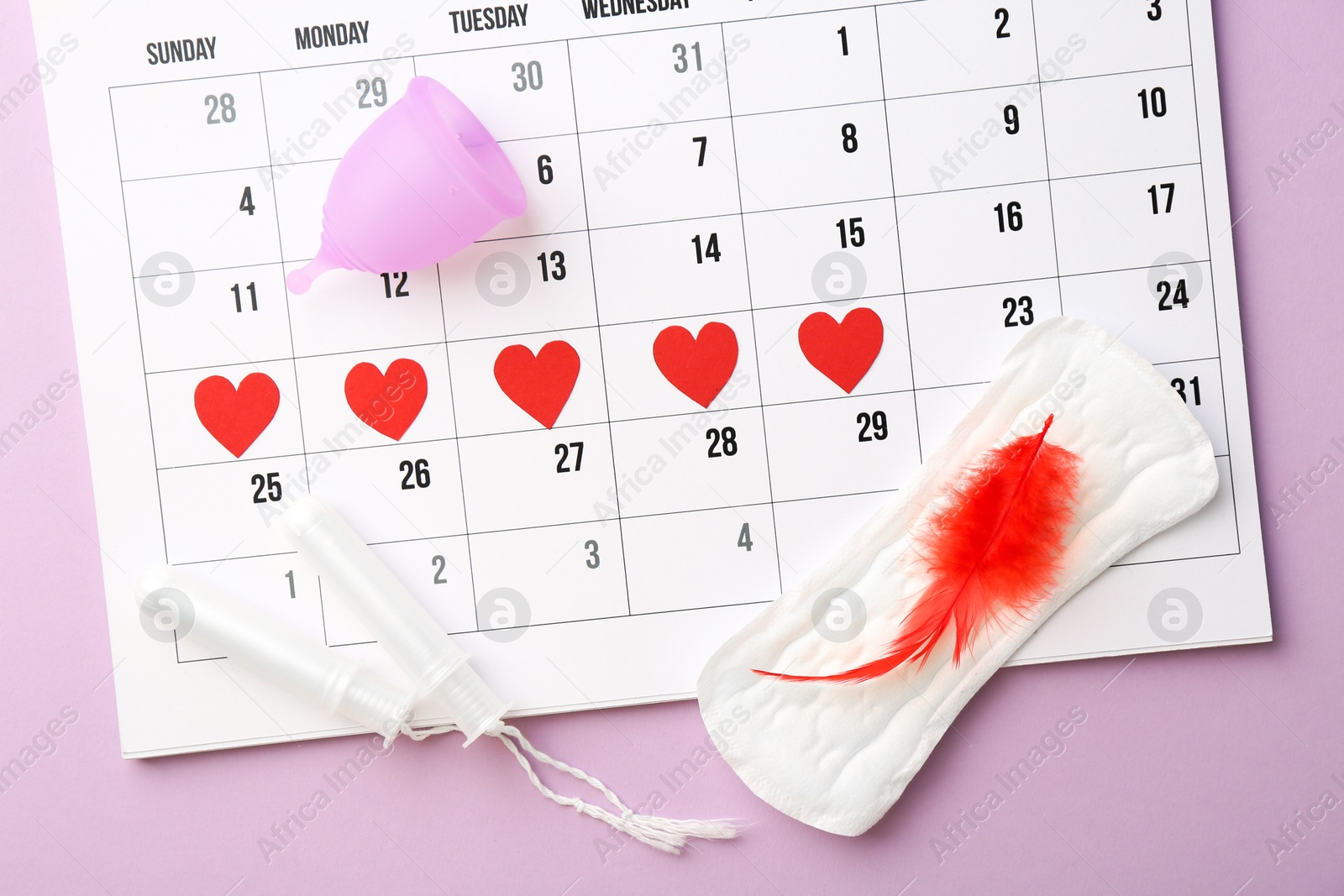 Photo of Calendar with marked dates, menstrual pad with feather, cup and tampons on lilac background, top view