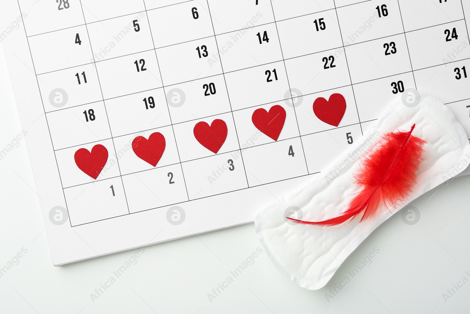 Photo of Calendar with marked dates and menstrual pad with feather on white background, top view