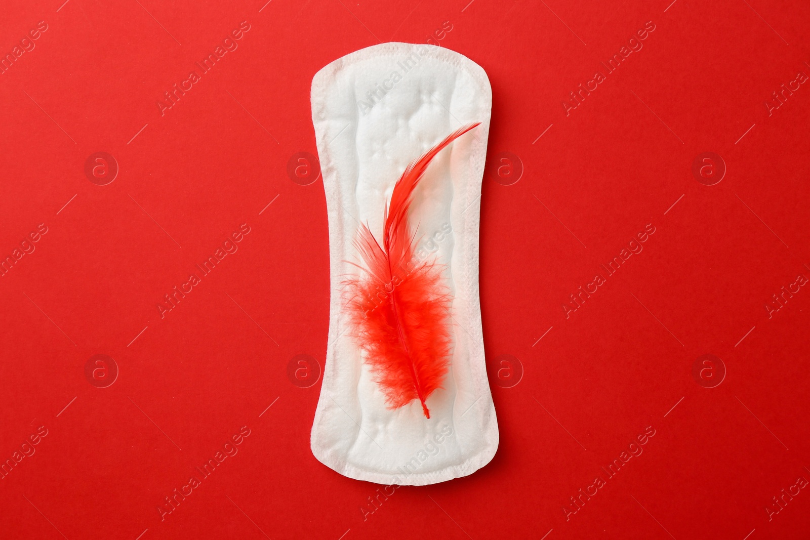 Photo of Menstrual pad with feather on red background, top view