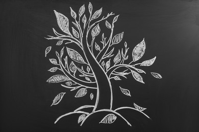 Photo of Beautiful drawing of tree on black chalkboard