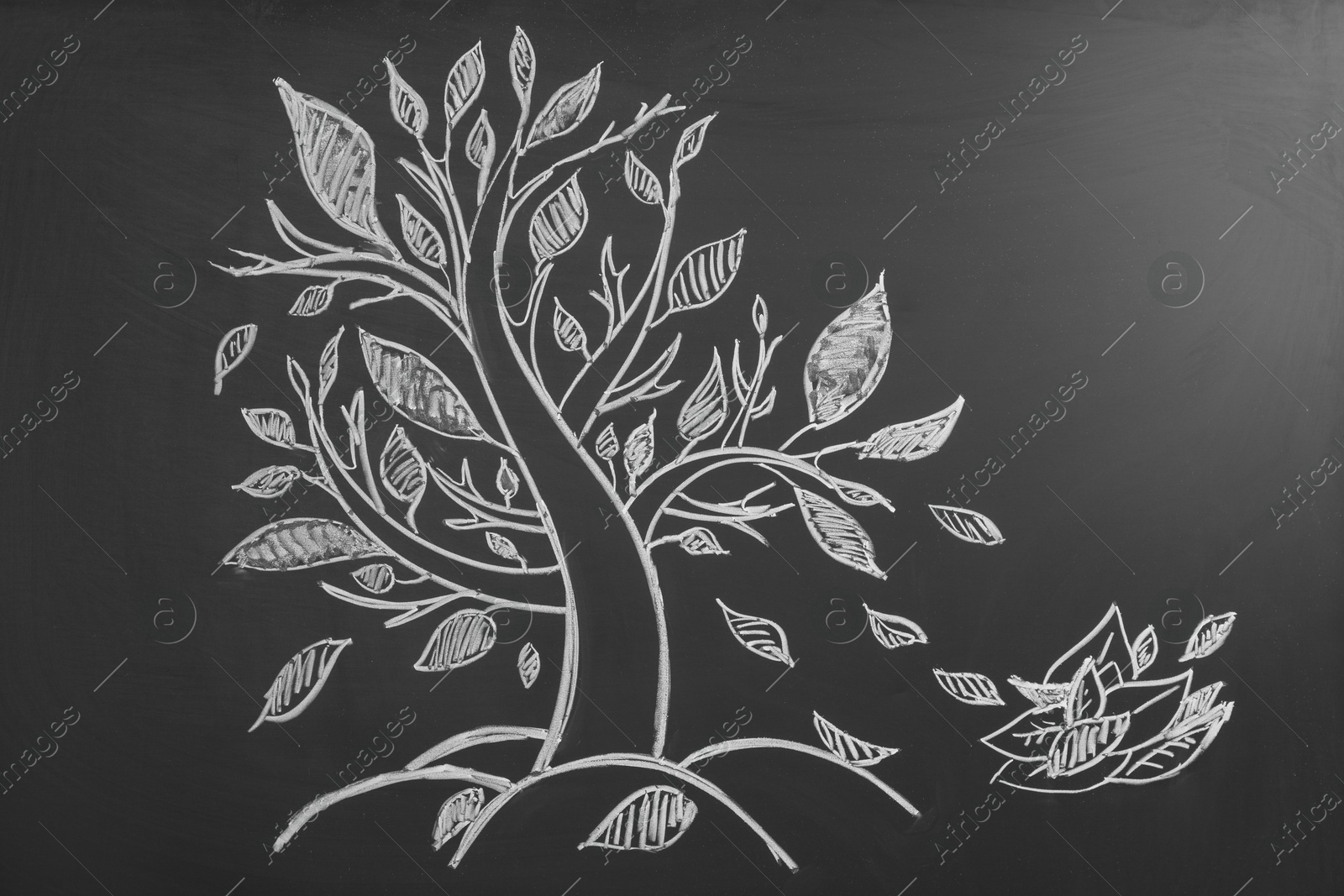 Photo of Beautiful drawing of tree on black chalkboard