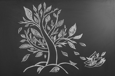 Photo of Beautiful drawing of tree on black chalkboard