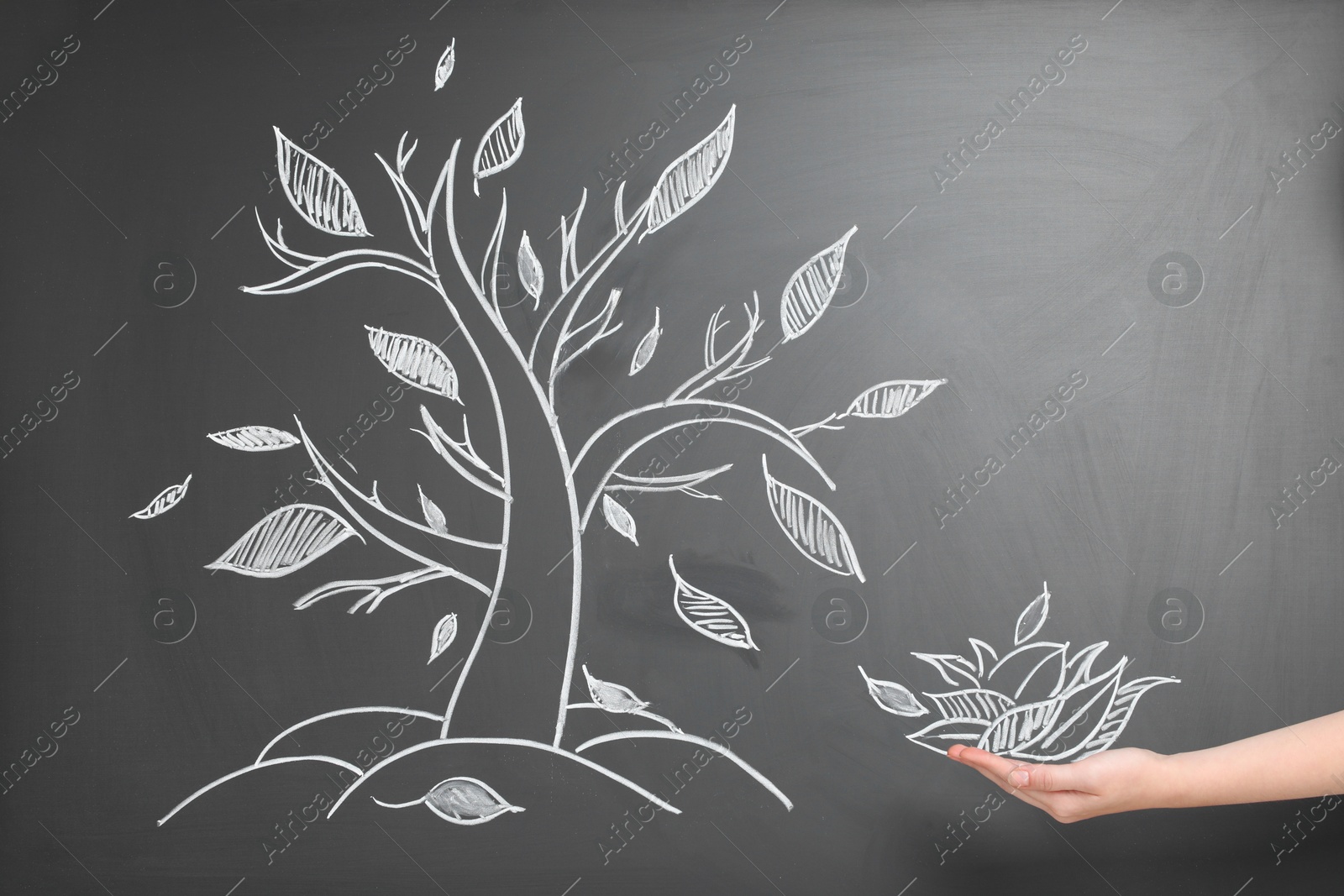 Photo of Woman pretending to catch leaves fallen from tree on chalkboard, closeup