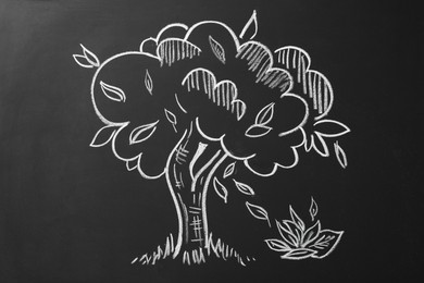 Photo of Beautiful drawing of tree on black chalkboard