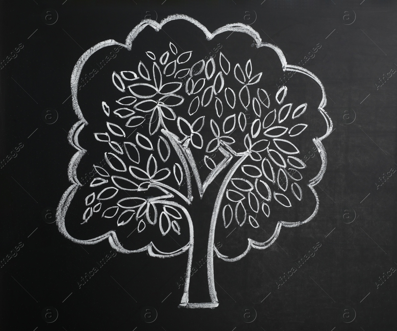 Photo of Beautiful drawing of tree on black chalkboard