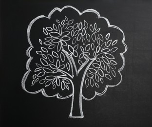 Photo of Beautiful drawing of tree on black chalkboard