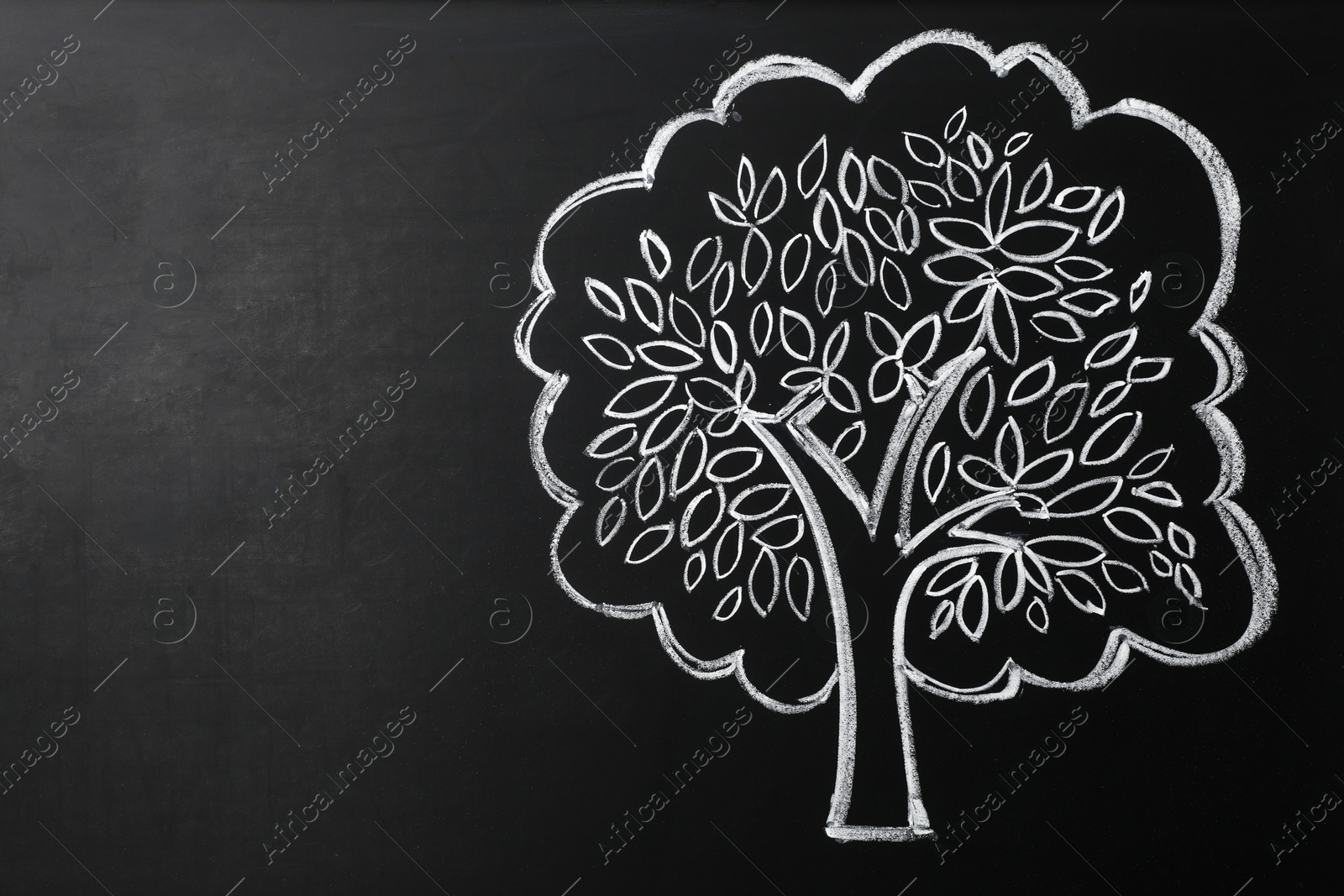 Photo of Beautiful drawing of tree on black chalkboard