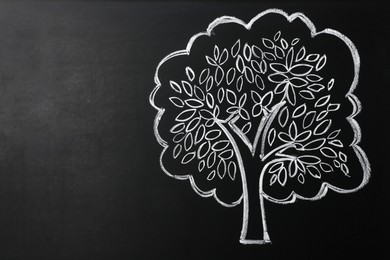 Photo of Beautiful drawing of tree on black chalkboard