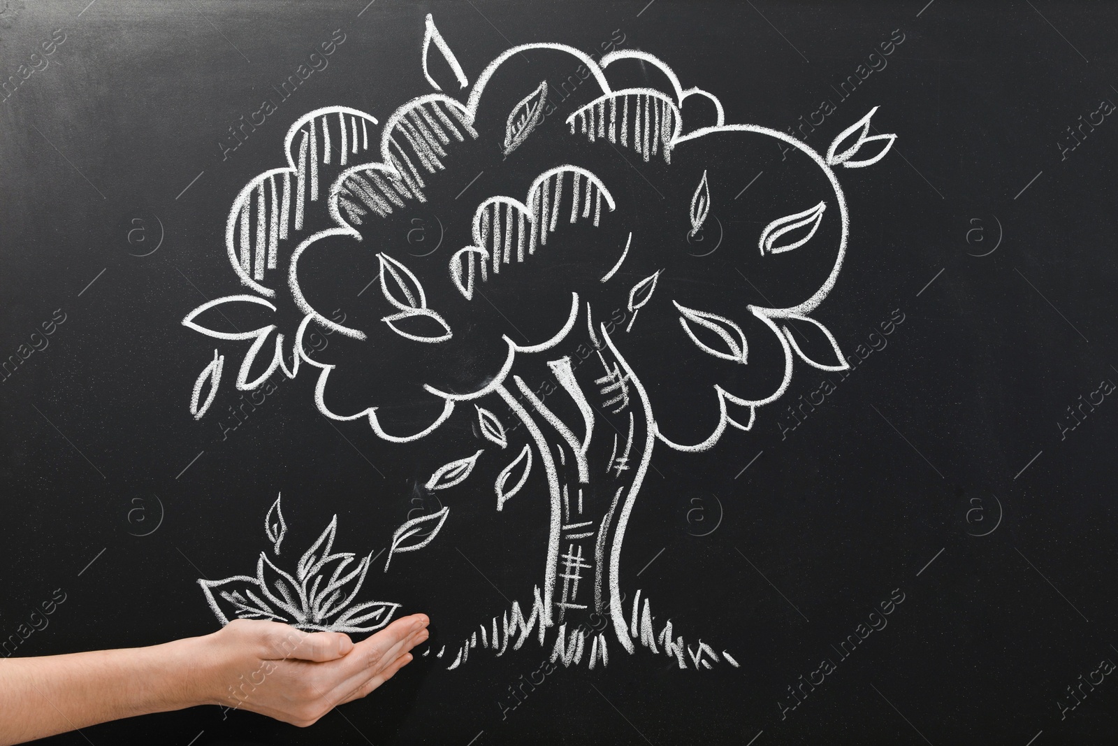 Photo of Woman pretending to catch leaves fallen from tree on chalkboard, closeup