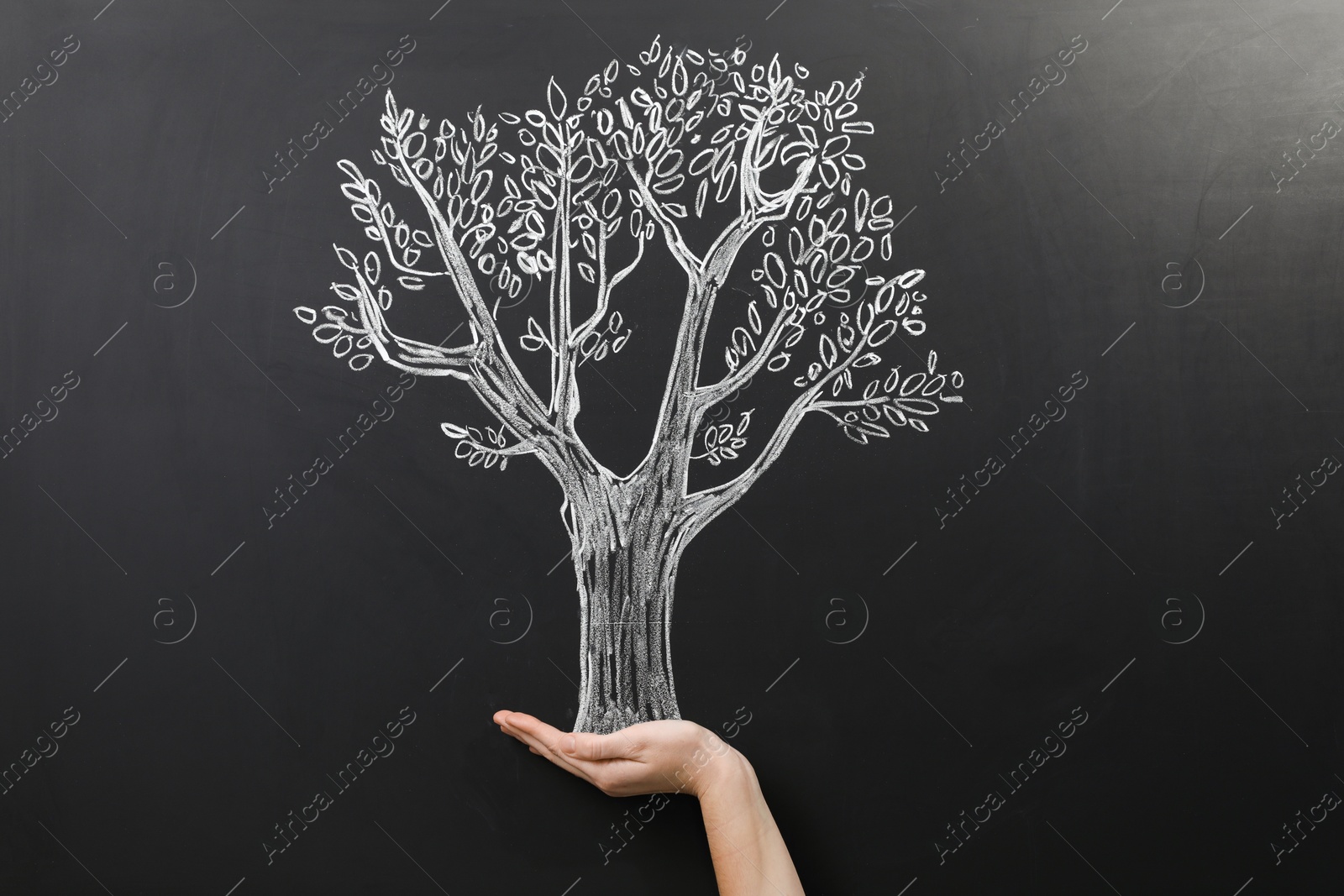 Photo of Woman pretending to hold tree drawn on chalkboard, closeup