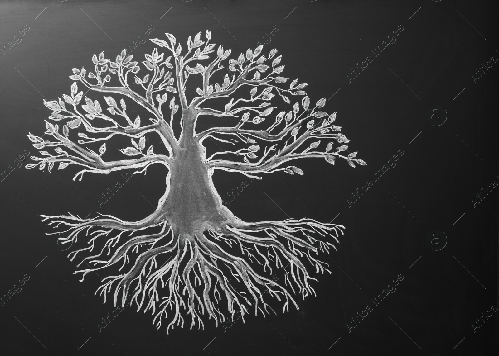 Photo of Beautiful drawing of tree on black chalkboard