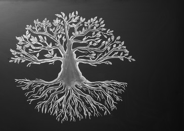 Photo of Beautiful drawing of tree on black chalkboard