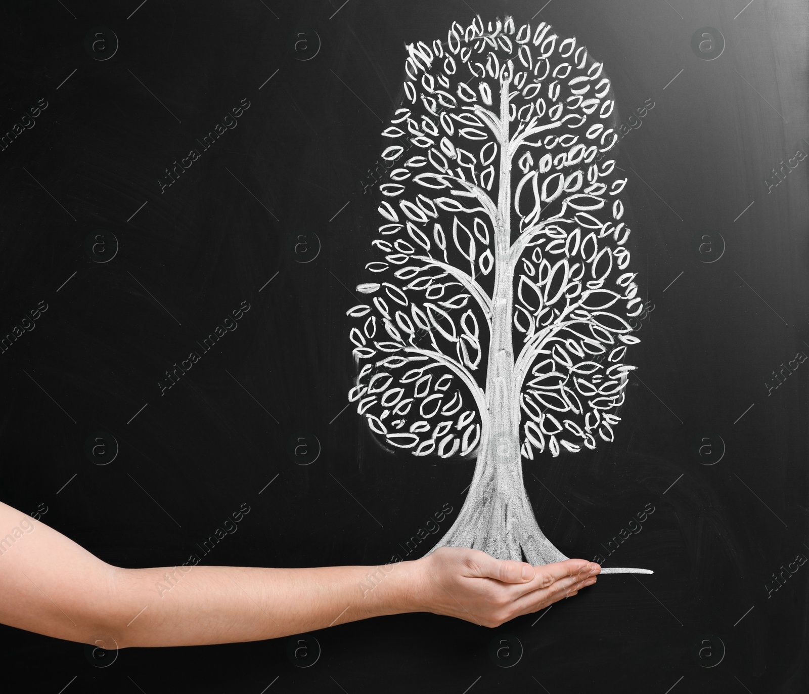 Photo of Woman pretending to hold tree drawn on chalkboard, closeup