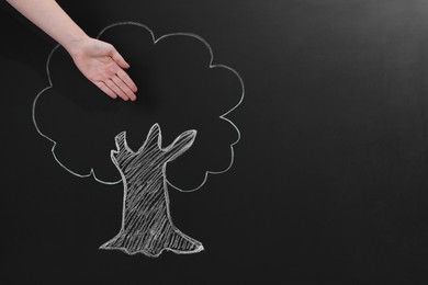 Photo of Woman showing tree drawing on chalkboard, closeup. Space for text