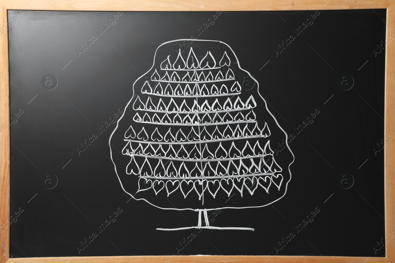 Photo of Beautiful drawing of tree on black chalkboard