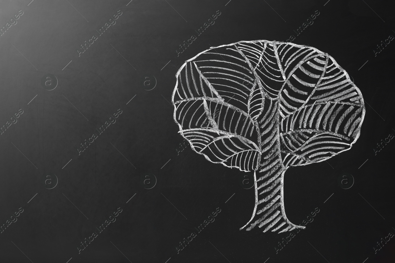 Photo of Beautiful drawing of tree on black chalkboard. Space for text