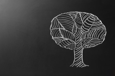 Photo of Beautiful drawing of tree on black chalkboard. Space for text