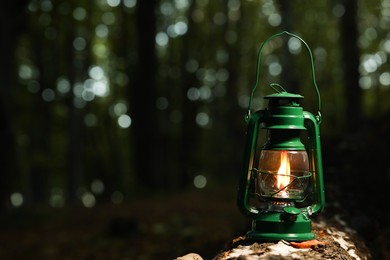 Photo of Vintage kerosene lamp in forest at evening, space for text