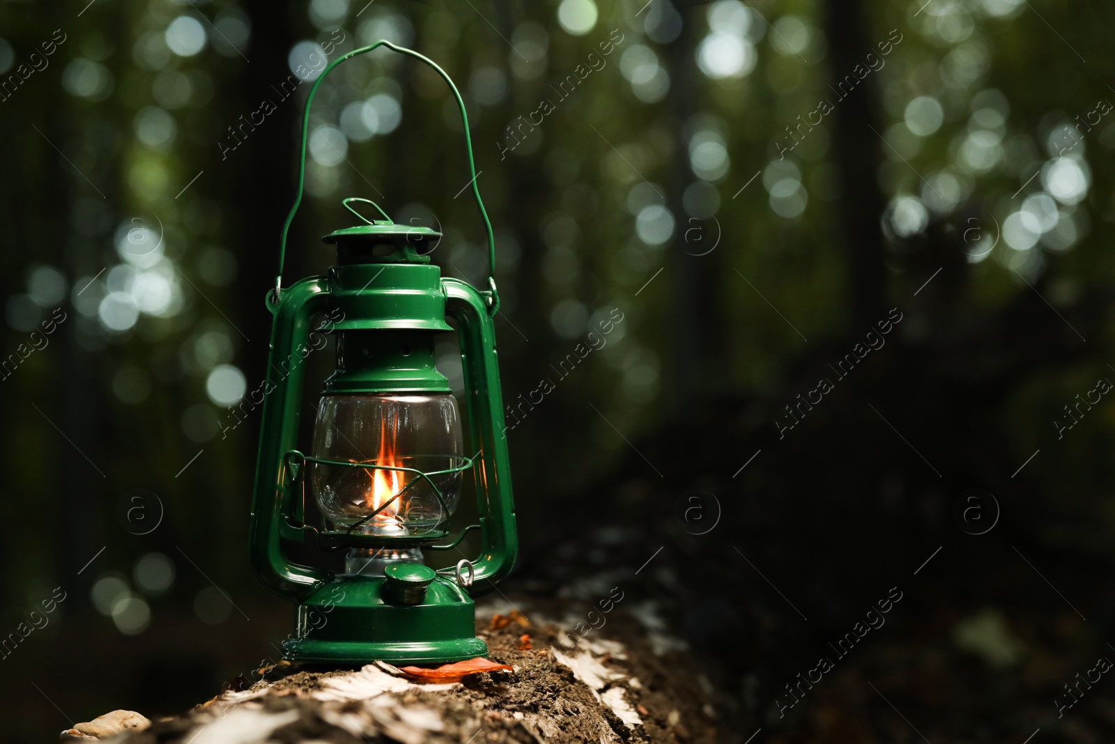 Photo of Vintage kerosene lamp in forest at evening, space for text