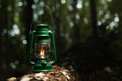 Photo of Vintage kerosene lamp in forest at evening, space for text