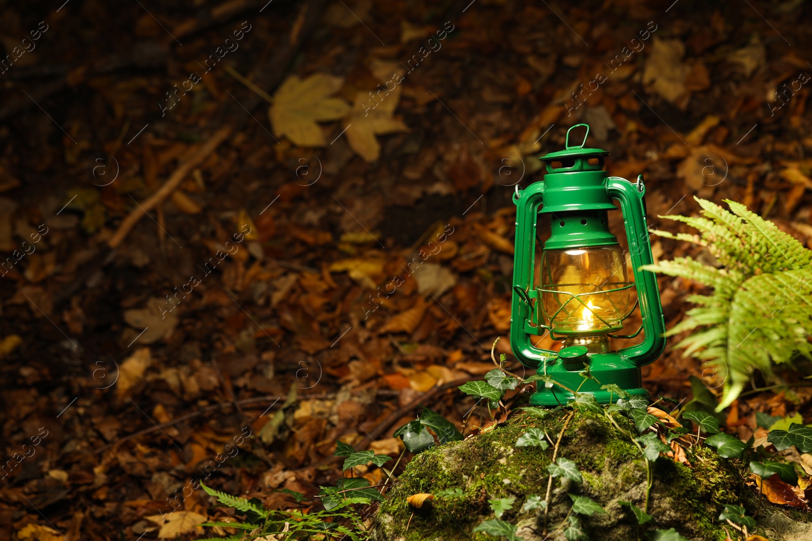 Photo of Vintage kerosene lamp in forest at evening, space for text