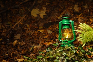 Photo of Vintage kerosene lamp in forest at evening, space for text