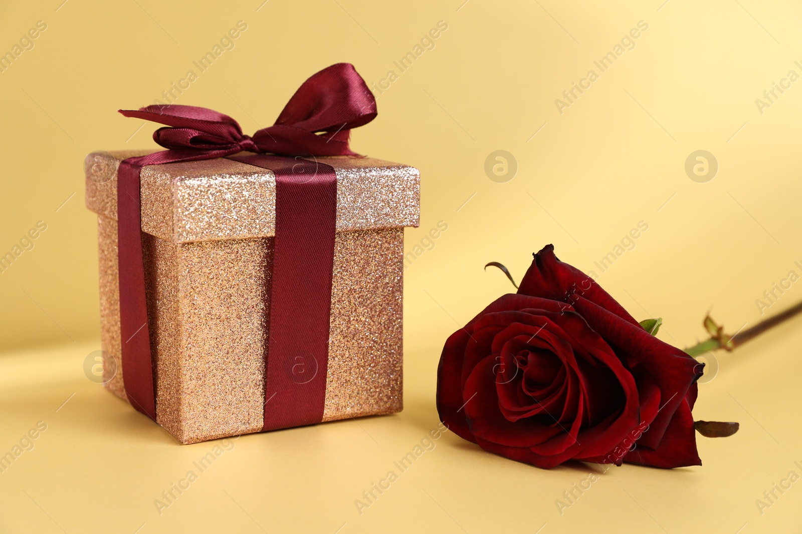 Photo of Romantic gift and rose on beige background, closeup