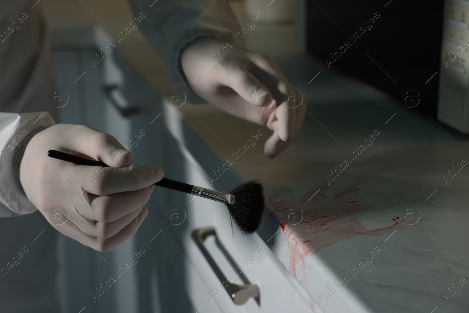 Photo of Forensic expert taking fingerprints from countertop with brush at crime scene indoors, closeup