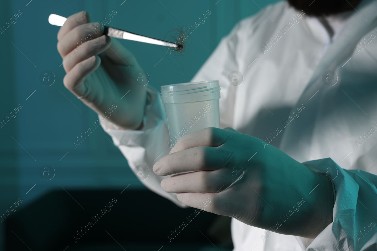 Photo of Forensic expert with tweezers collecting hair into container indoors, closeup