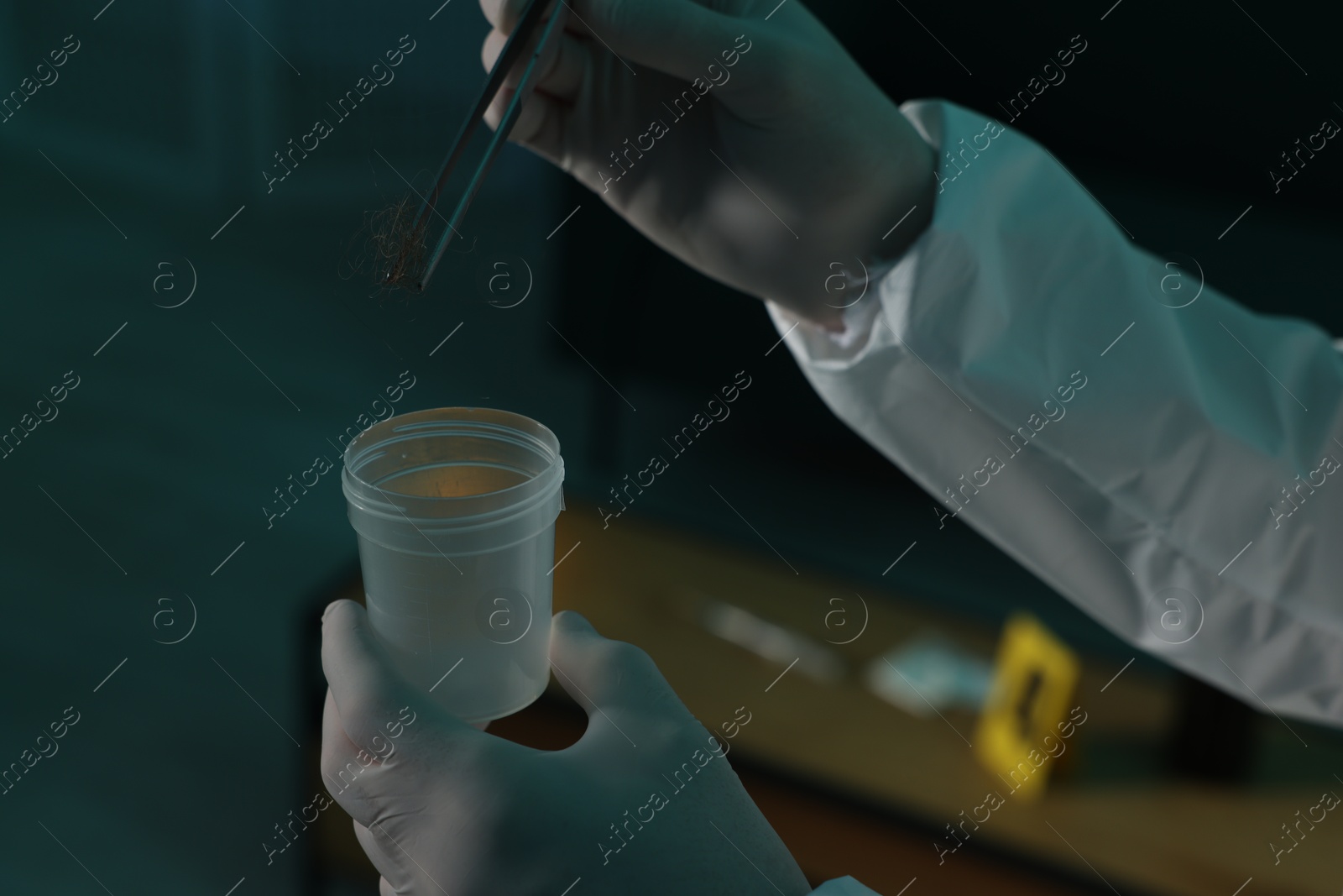 Photo of Forensic expert with tweezers collecting hair into container indoors, closeup