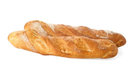 Photo of Freshly baked bread. Baguettes isolated on white