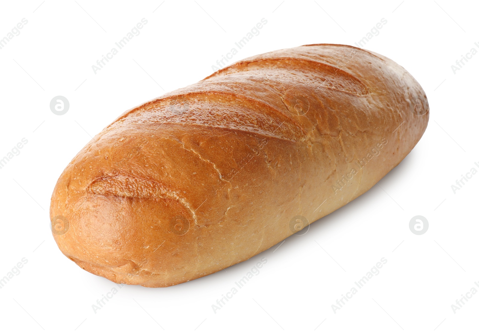 Photo of One freshly baked bread isolated on white