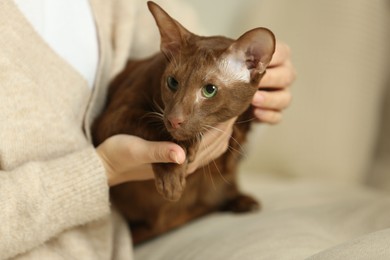 Photo of Woman with cute Oriental Shorthair cat at home, closeup. Adorable pet