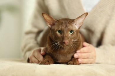 Photo of Woman with cute Oriental Shorthair cat at home, closeup. Adorable pet