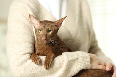 Photo of Woman with cute Oriental Shorthair cat at home, closeup. Adorable pet