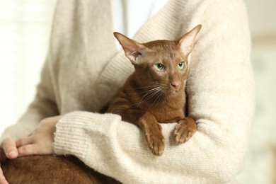 Photo of Woman with cute Oriental Shorthair cat at home, closeup. Adorable pet