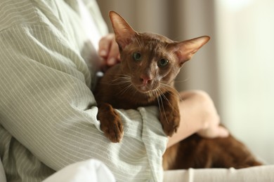 Photo of Woman with cute Oriental Shorthair cat at home, closeup. Adorable pet