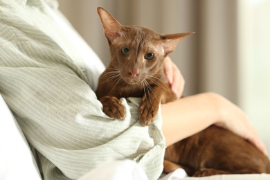 Photo of Woman with cute Oriental Shorthair cat at home, closeup. Adorable pet