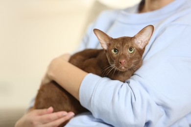 Photo of Woman with cute Oriental Shorthair cat at home, closeup. Adorable pet