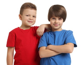 Portrait of cute brothers on white background