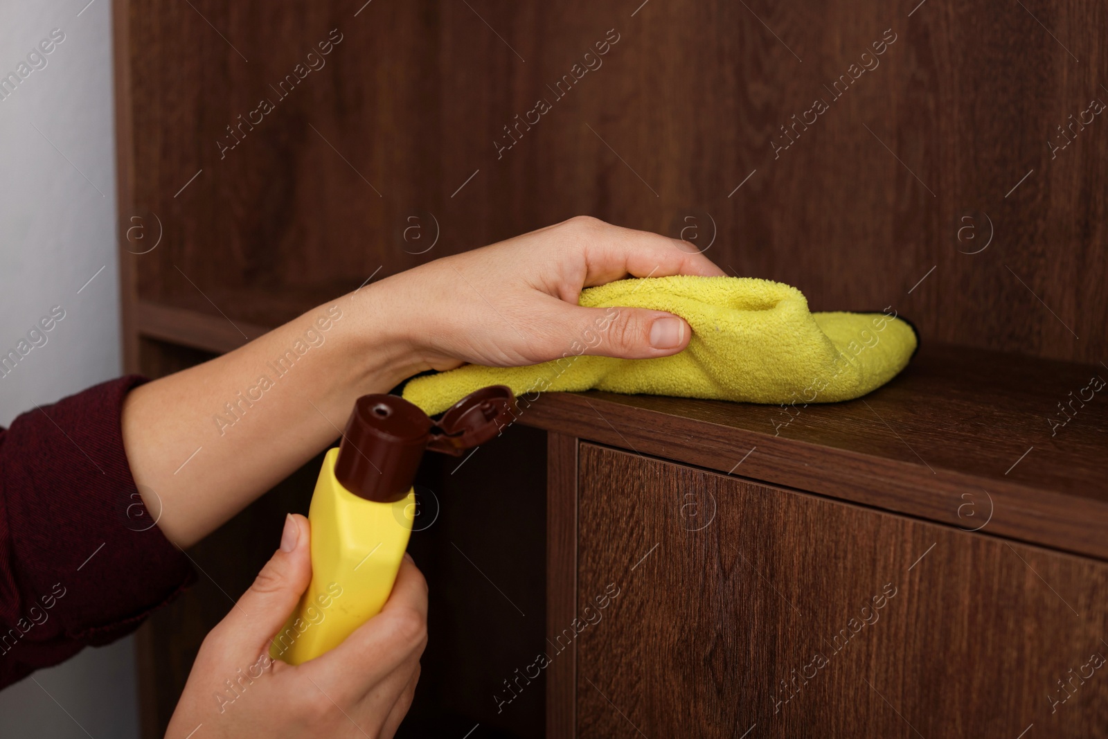 Photo of Woman polishing wooden shelf at home, closeup