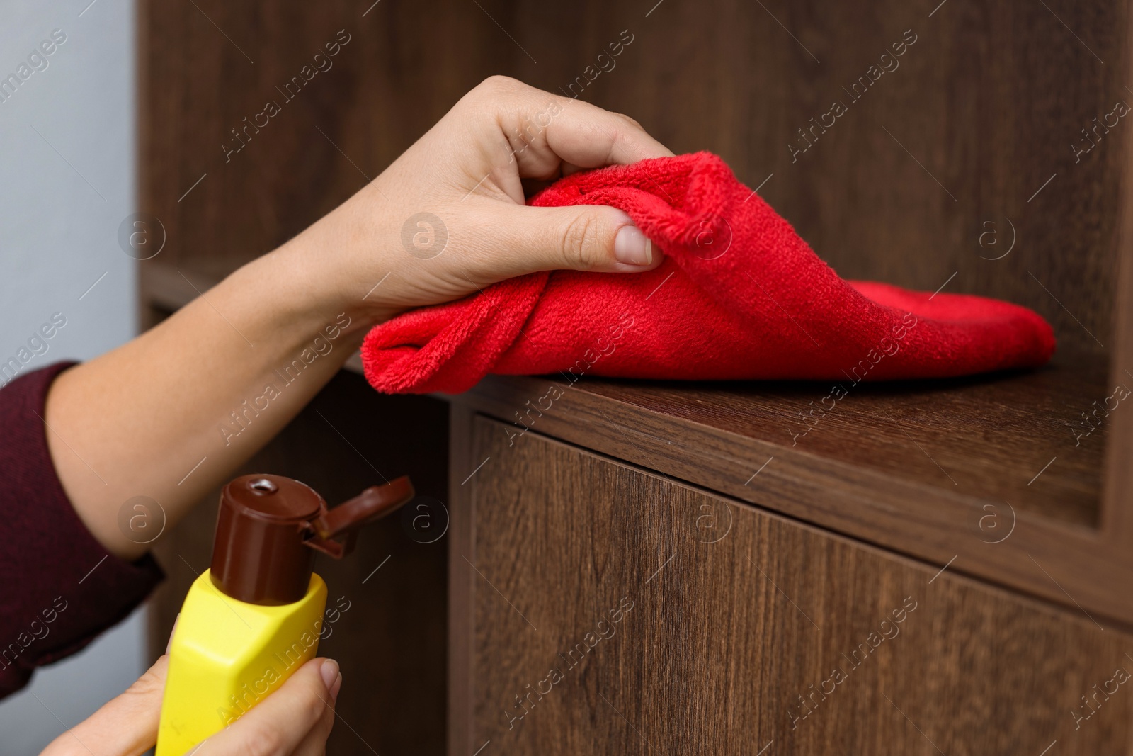 Photo of Woman polishing wooden shelf at home, closeup