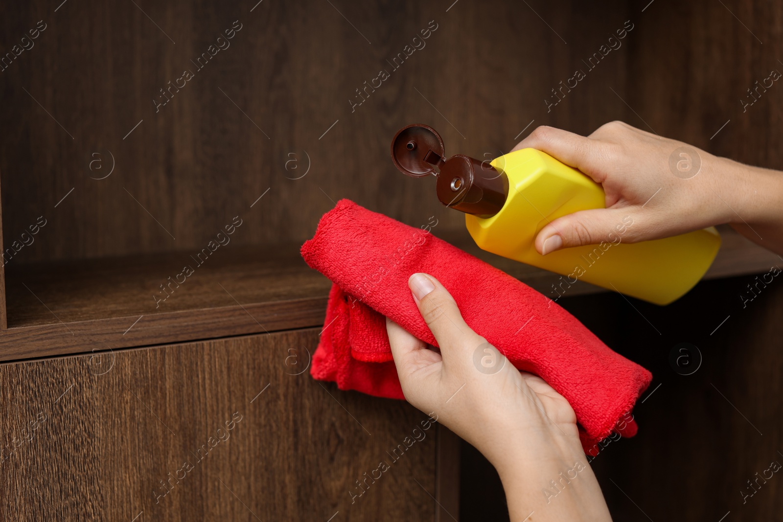 Photo of Woman polishing wooden shelf at home, closeup