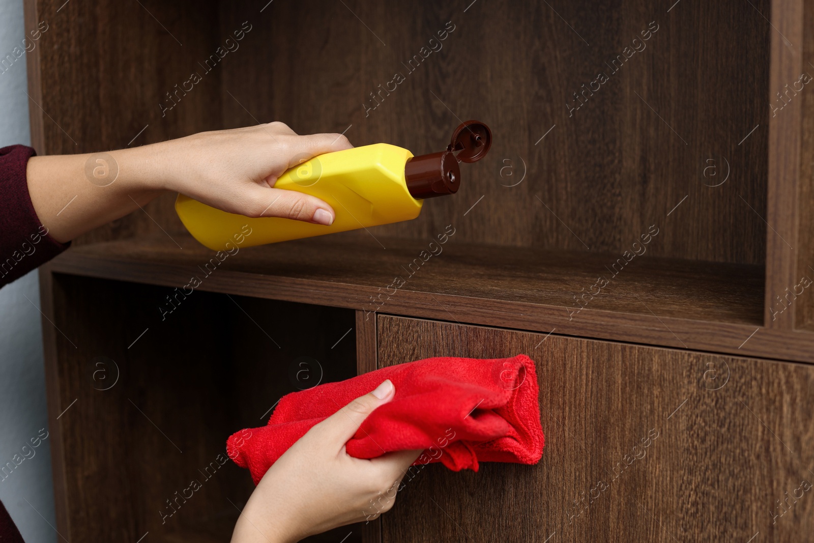 Photo of Woman polishing wooden shelf at home, closeup