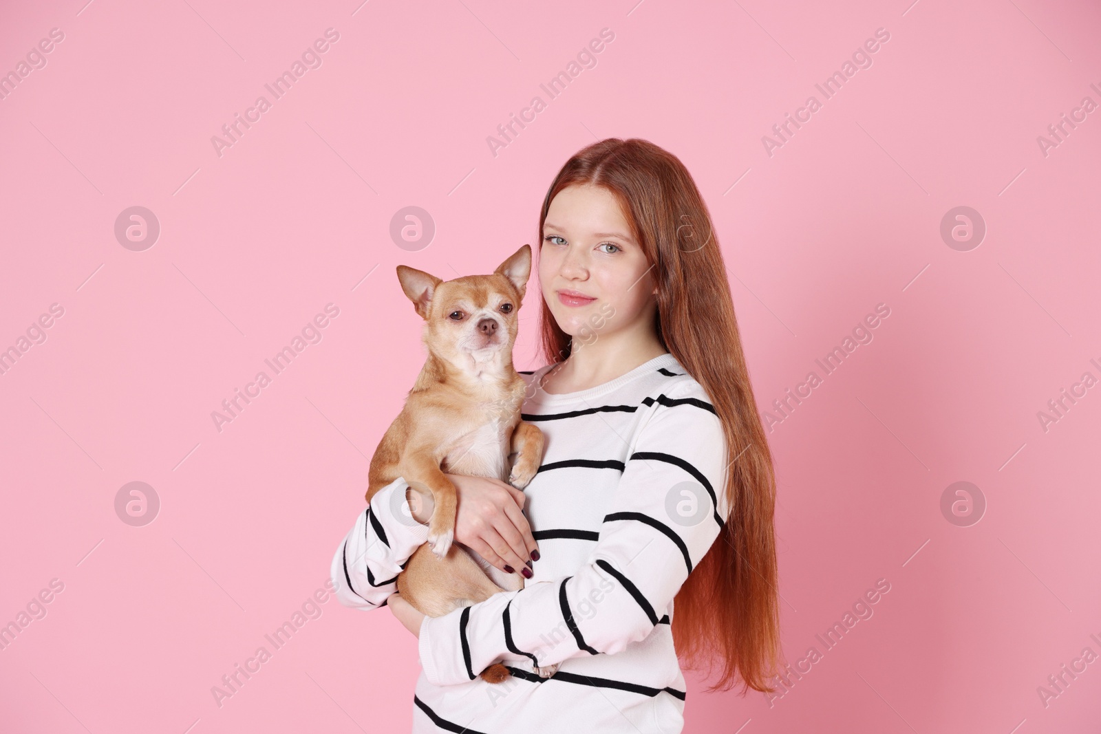 Photo of Teenage girl with her cute Chihuahua dog on pink background