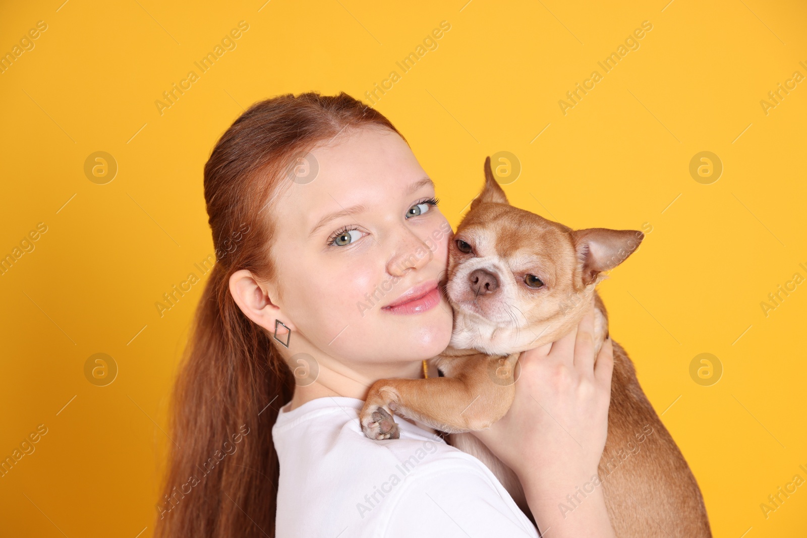 Photo of Teenage girl with her cute Chihuahua dog on yellow background