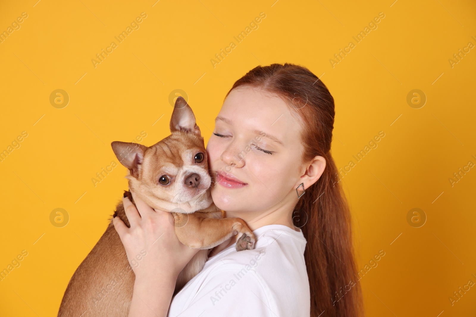 Photo of Teenage girl with her cute Chihuahua dog on yellow background