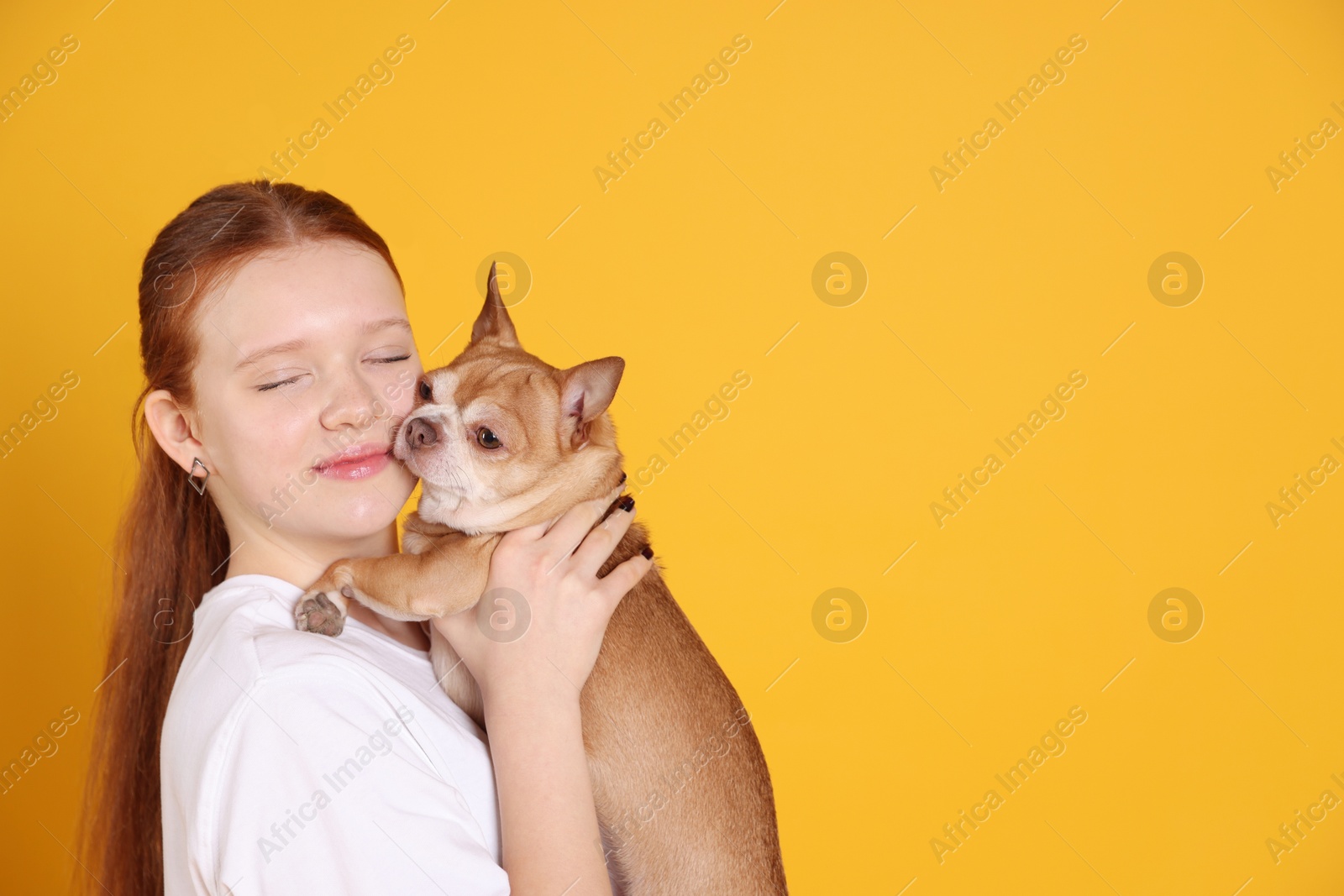 Photo of Teenage girl with her cute Chihuahua dog on yellow background, space for text