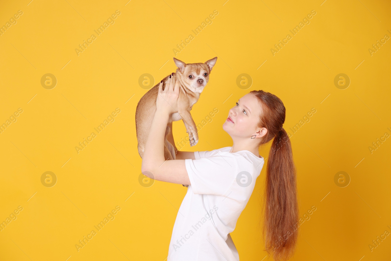 Photo of Teenage girl with her cute Chihuahua dog on yellow background